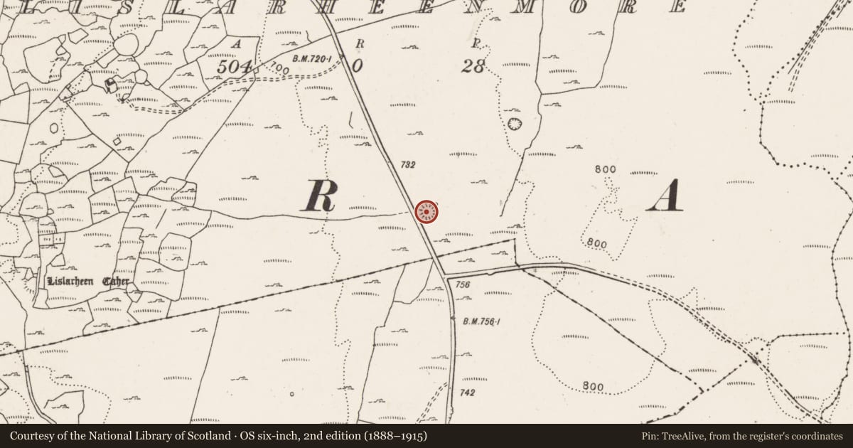 Ordnance Survey six-inch map, 2nd edition (1888–1915) covering the location of Ringfort - cashel, Lislarheenmore, County Clare, with a pin at the register's coordinates