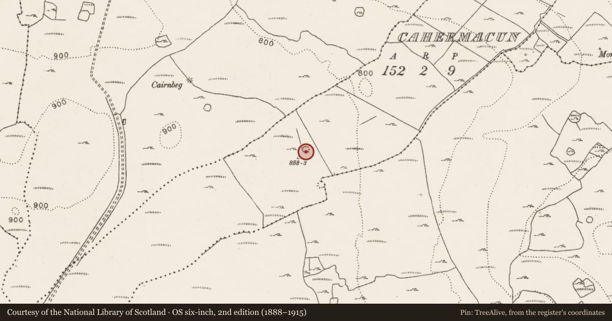 Ordnance Survey six-inch map, 2nd edition (1888–1915) covering the location of Enclosure, Cahermacun, County Clare, with a pin at the register's coordinates