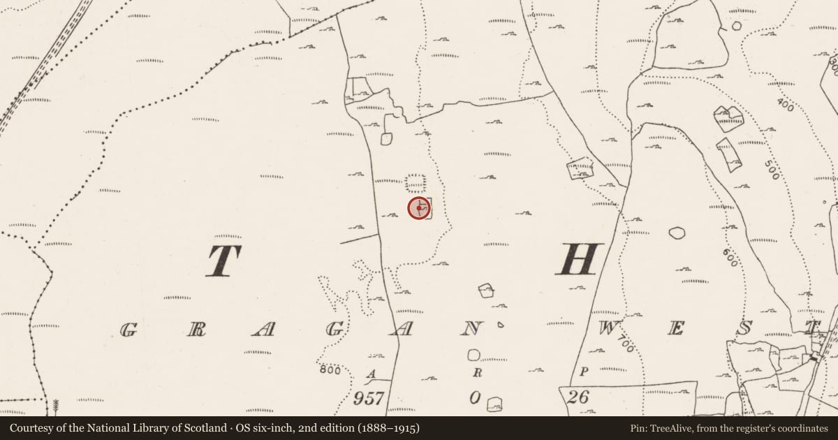 Ordnance Survey six-inch map, 2nd edition (1888–1915) covering the location of Hut site, Gragan West, County Clare, with a pin at the register's coordinates