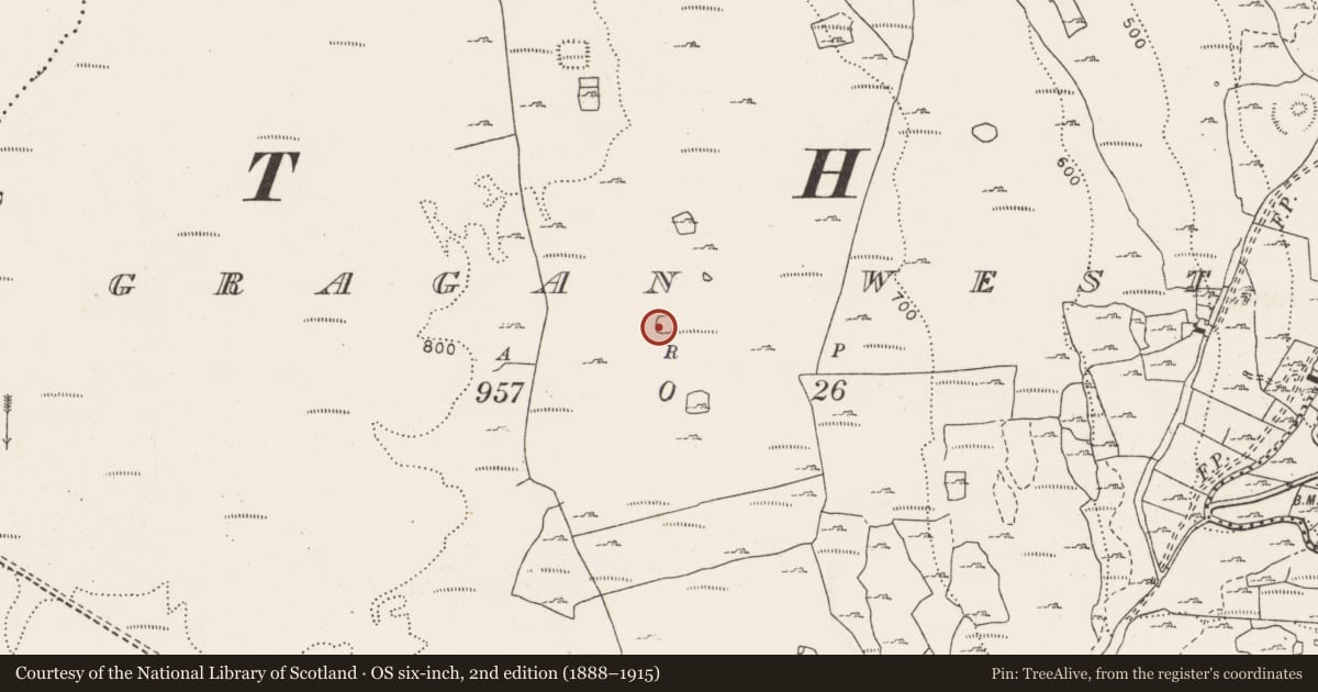Ordnance Survey six-inch map, 2nd edition (1888–1915) covering the location of Ringfort - cashel, Gragan West, County Clare, with a pin at the register's coordinates