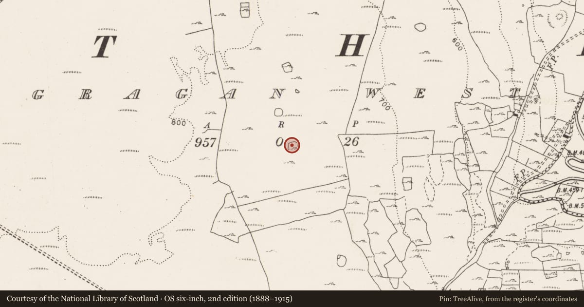 Ordnance Survey six-inch map, 2nd edition (1888–1915) covering the location of Ringfort - cashel, Gragan West, County Clare, with a pin at the register's coordinates