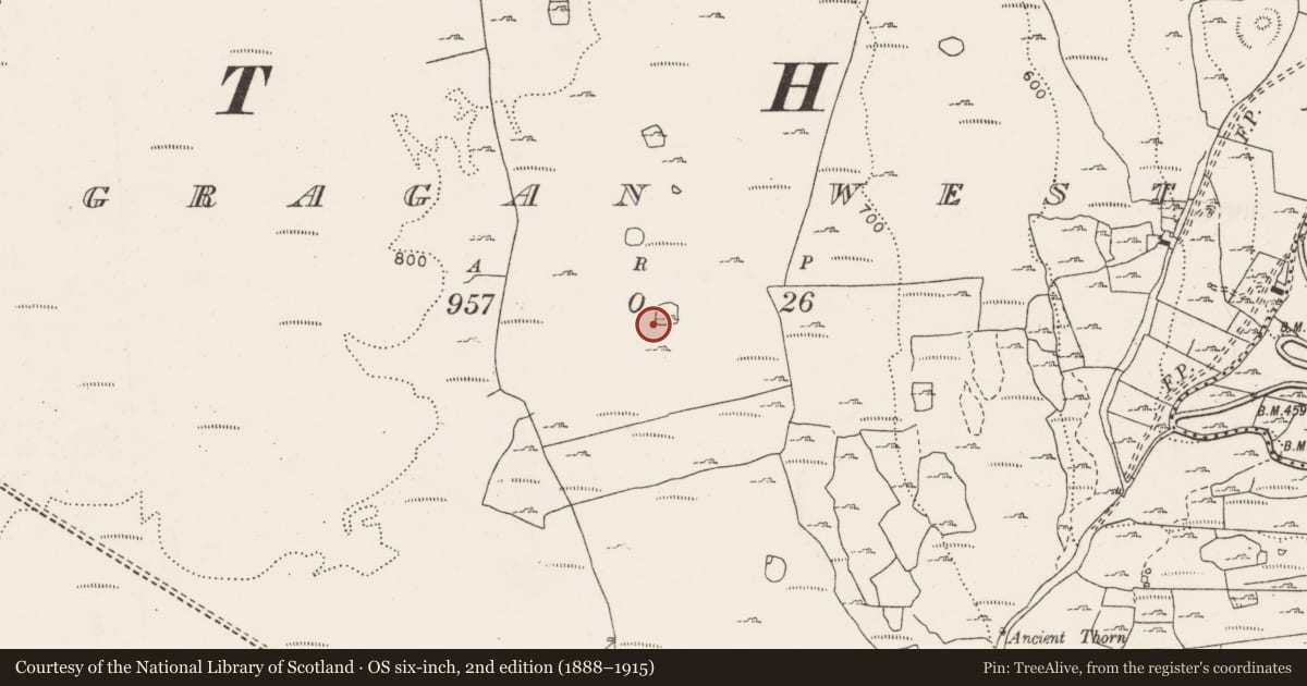 Ordnance Survey six-inch map, 2nd edition (1888–1915) covering the location of Hut site, Gragan West, County Clare, with a pin at the register's coordinates