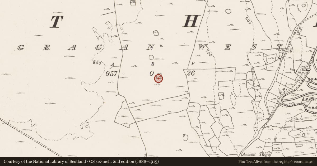 Ordnance Survey six-inch map, 2nd edition (1888–1915) covering the location of Hut site, Gragan West, County Clare, with a pin at the register's coordinates