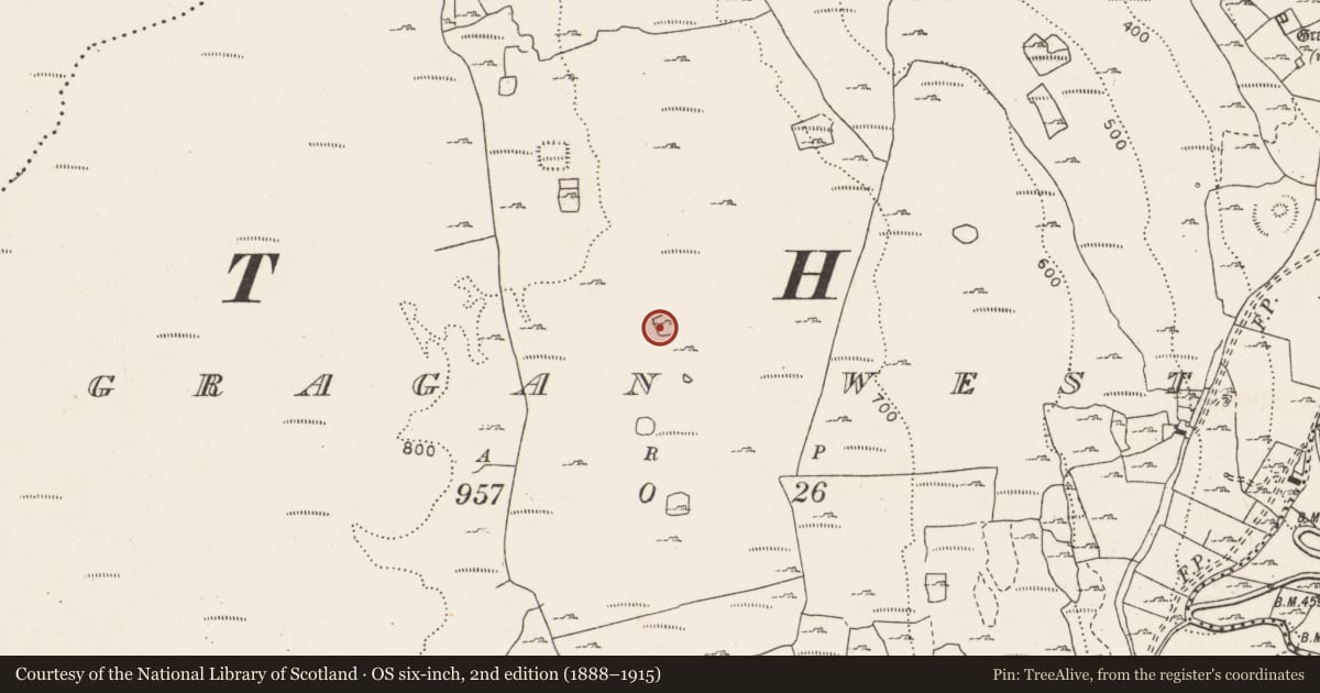 Ordnance Survey six-inch map, 2nd edition (1888–1915) covering the location of Enclosure, Gragan West, County Clare, with a pin at the register's coordinates