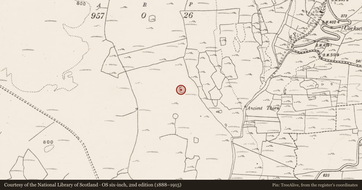 Ordnance Survey six-inch map, 2nd edition (1888–1915) covering the location of Ringfort - cashel, Gragan West, County Clare, with a pin at the register's coordinates