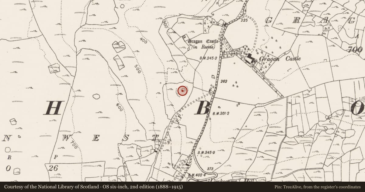 Ordnance Survey six-inch map, 2nd edition (1888–1915) covering the location of Enclosure, Gragan West, County Clare, with a pin at the register's coordinates