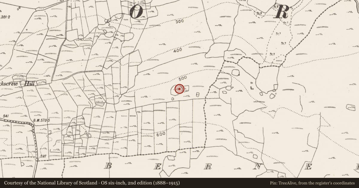 Ordnance Survey six-inch map, 2nd edition (1888–1915) covering the location of Field system, Gragan East, County Clare, with a pin at the register's coordinates