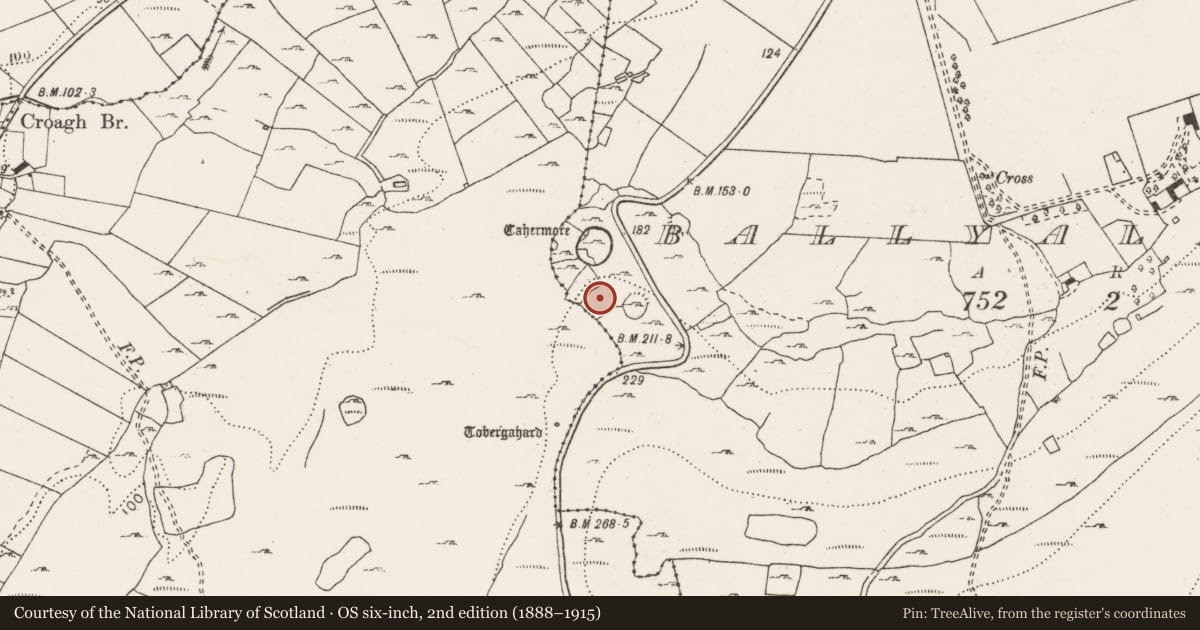 Ordnance Survey six-inch map, 2nd edition (1888–1915) covering the location of Enclosure, Ballyallaban, County Clare, with a pin at the register's coordinates