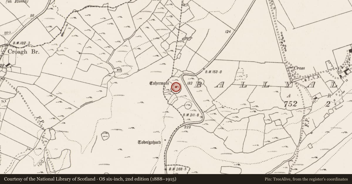 Ordnance Survey six-inch map, 2nd edition (1888–1915) covering the location of Ringfort - cashel, Ballyallaban, County Clare, with a pin at the register's coordinates