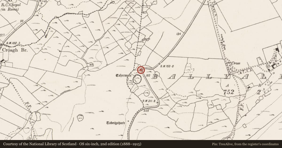Ordnance Survey six-inch map, 2nd edition (1888–1915) covering the location of Ringfort - cashel, Ballyallaban, County Clare, with a pin at the register's coordinates