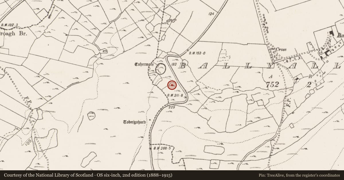 Ordnance Survey six-inch map, 2nd edition (1888–1915) covering the location of Ringfort - cashel, Ballyallaban, County Clare, with a pin at the register's coordinates