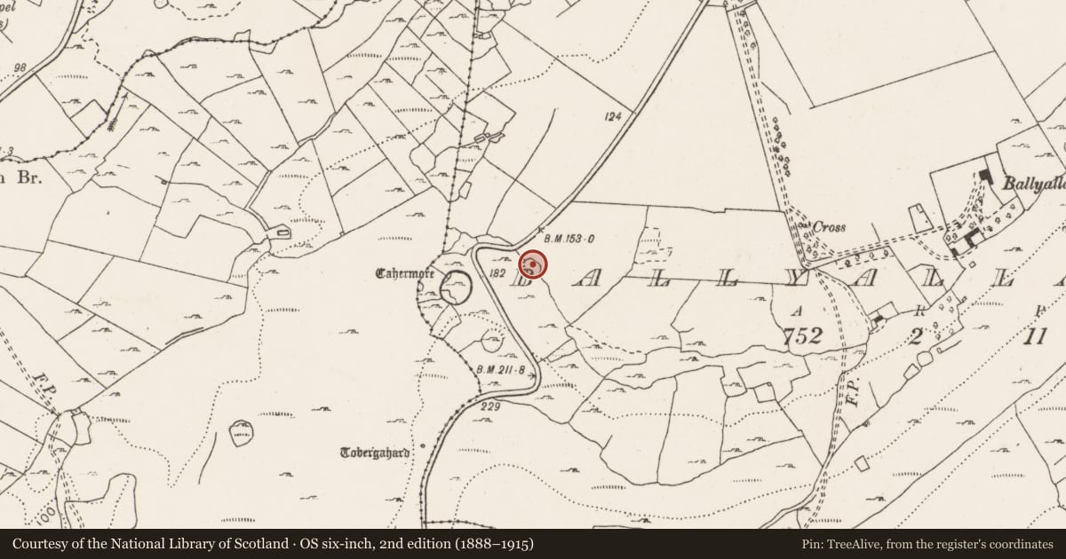 Ordnance Survey six-inch map, 2nd edition (1888–1915) covering the location of Ringfort - cashel, Ballyallaban, County Clare, with a pin at the register's coordinates