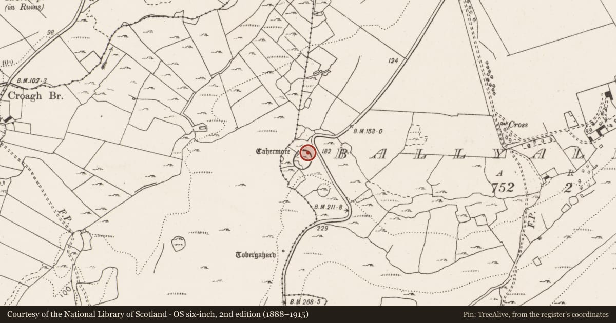 Ordnance Survey six-inch map, 2nd edition (1888–1915) covering the location of Hut site, Ballyallaban, County Clare, with a pin at the register's coordinates