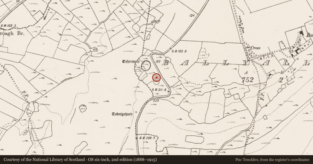 Ordnance Survey six-inch map, 2nd edition (1888–1915) covering the location of House - indeterminate date, Ballyallaban, County Clare, with a pin at the register's coordinates