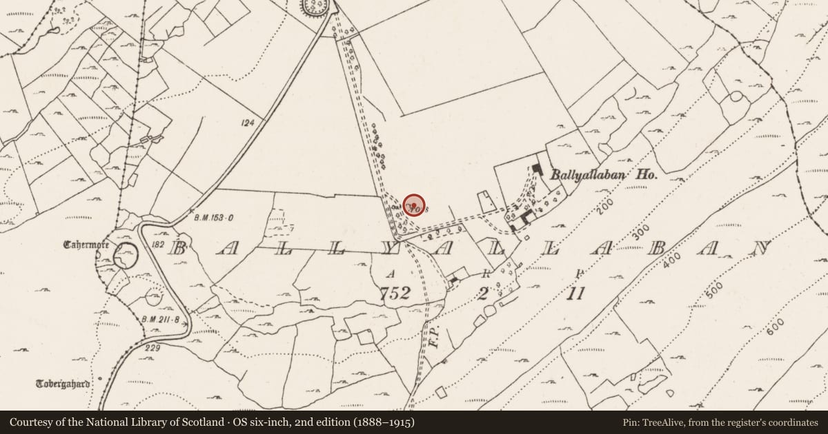 Ordnance Survey six-inch map, 2nd edition (1888–1915) covering the location of Ecclesiastical enclosure, Ballyallaban, County Clare, with a pin at the register's coordinates