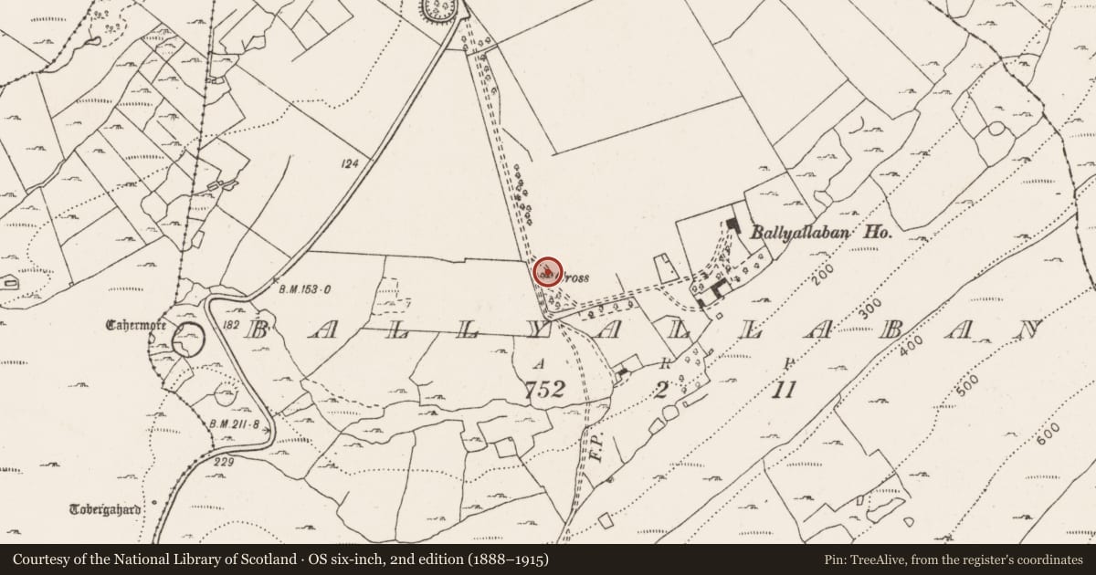 Ordnance Survey six-inch map, 2nd edition (1888–1915) covering the location of Cross, Ballyallaban, County Clare, with a pin at the register's coordinates