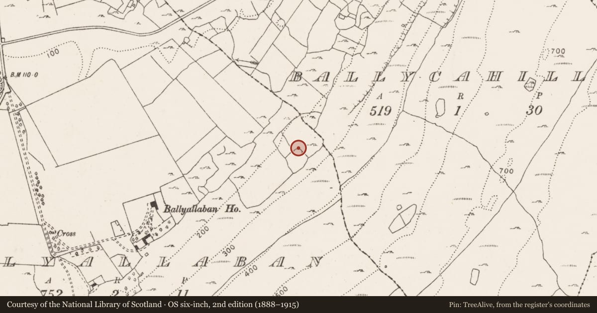 Ordnance Survey six-inch map, 2nd edition (1888–1915) covering the location of Enclosure, Ballyallaban, County Clare, with a pin at the register's coordinates