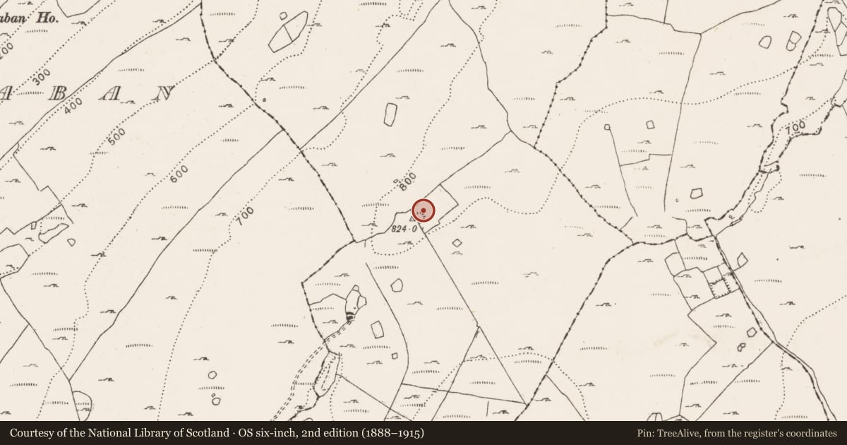 Ordnance Survey six-inch map, 2nd edition (1888–1915) covering the location of Hut site, Ballycahill, County Clare, with a pin at the register's coordinates