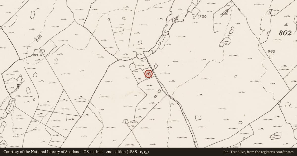 Ordnance Survey six-inch map, 2nd edition (1888–1915) covering the location of Ringfort - cashel, Gleninsheen, County Clare, with a pin at the register's coordinates