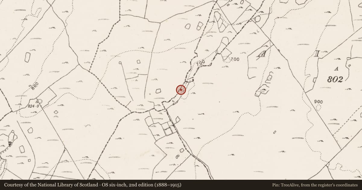 Ordnance Survey six-inch map, 2nd edition (1888–1915) covering the location of Water mill - unclassified, Aillwee, County Clare, with a pin at the register's coordinates