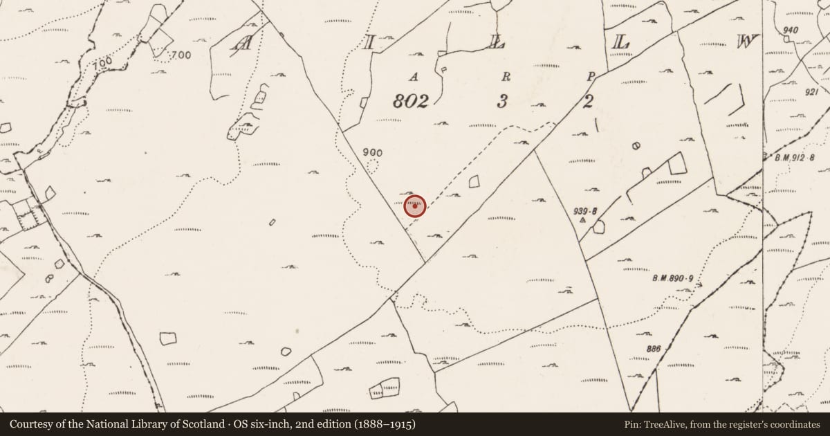 Ordnance Survey six-inch map, 2nd edition (1888–1915) covering the location of Field system, County Clare, with a pin at the register's coordinates