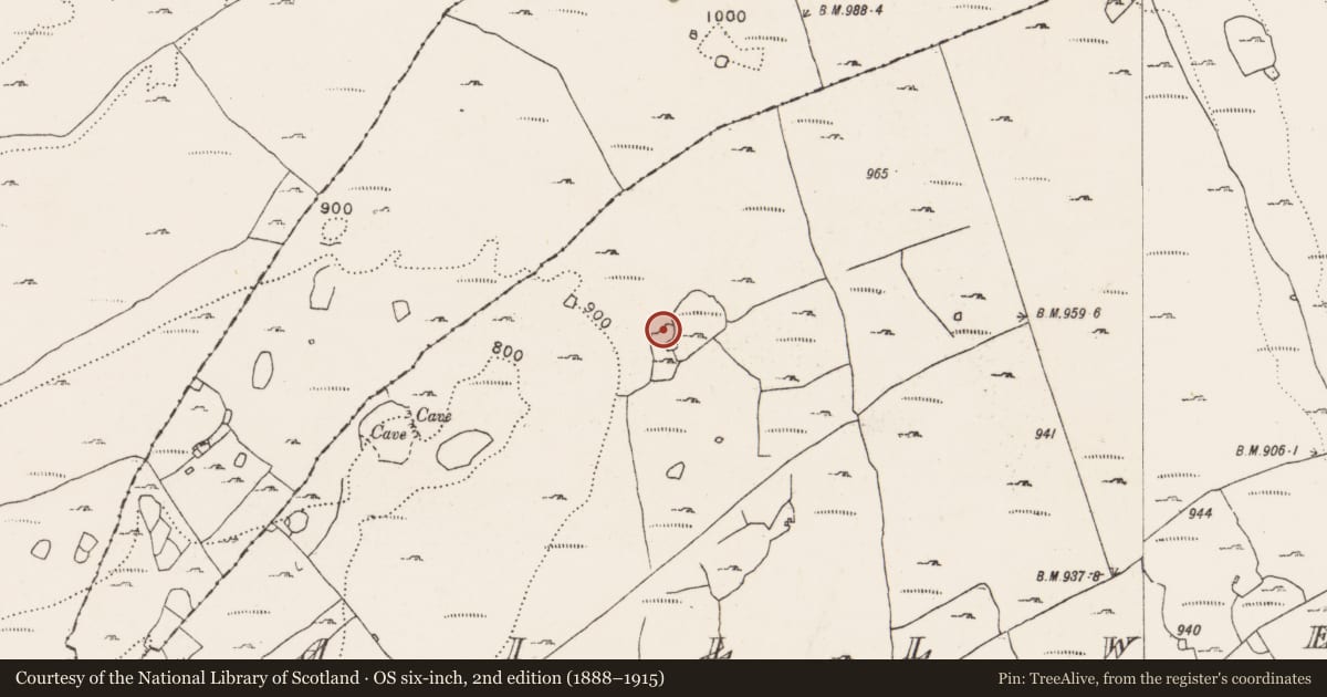Ordnance Survey six-inch map, 2nd edition (1888–1915) covering the location of Ringfort - cashel, Aillwee, County Clare, with a pin at the register's coordinates