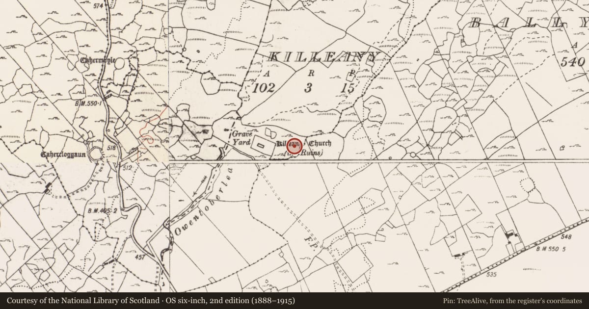 Ordnance Survey six-inch map, 2nd edition (1888–1915) covering the location of Field system, Ballyconnoe North, Killeany, County Clare, with a pin at the register's coordinates