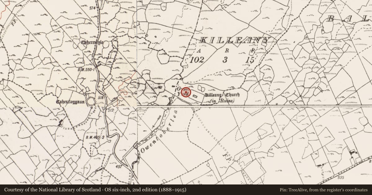 Ordnance Survey six-inch map, 2nd edition (1888–1915) covering the location of Ecclesiastical enclosure, Killeany, County Clare, with a pin at the register's coordinates