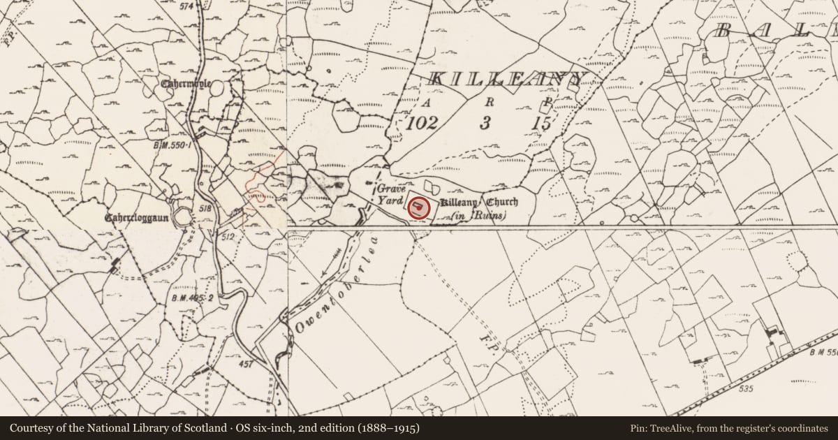 Ordnance Survey six-inch map, 2nd edition (1888–1915) covering the location of Church, Killeany, County Clare, with a pin at the register's coordinates