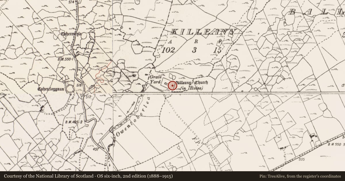 Ordnance Survey six-inch map, 2nd edition (1888–1915) covering the location of Graveyard, Killeany, County Clare, with a pin at the register's coordinates