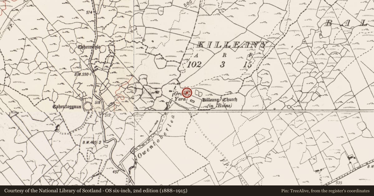Ordnance Survey six-inch map, 2nd edition (1888–1915) covering the location of Kiln, Killeany, County Clare, with a pin at the register's coordinates