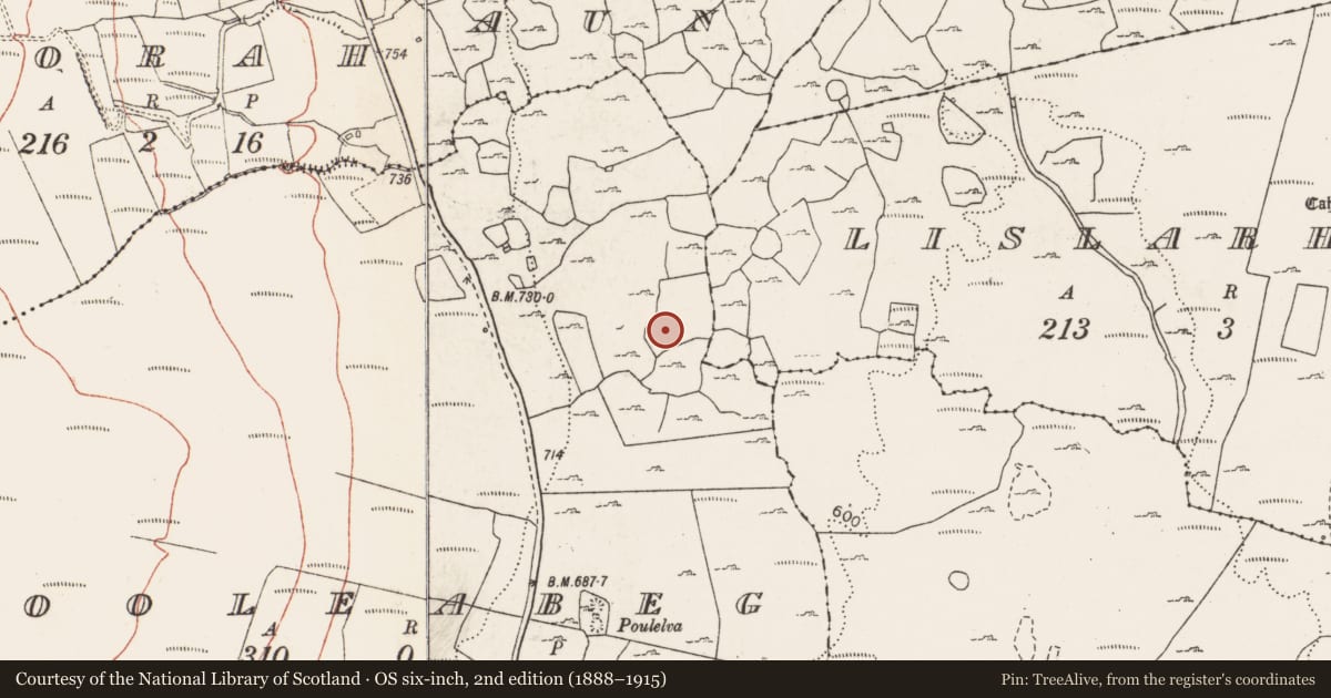 Ordnance Survey six-inch map, 2nd edition (1888–1915) covering the location of Megalithic tomb - wedge tomb, Cooleabeg, County Clare, with a pin at the register's coordinates