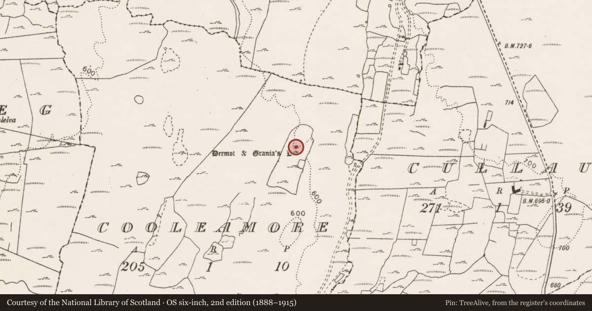 Ordnance Survey six-inch map, 2nd edition (1888–1915) covering the location of Megalithic tomb - wedge tomb, Cooleamore, County Clare, with a pin at the register's coordinates