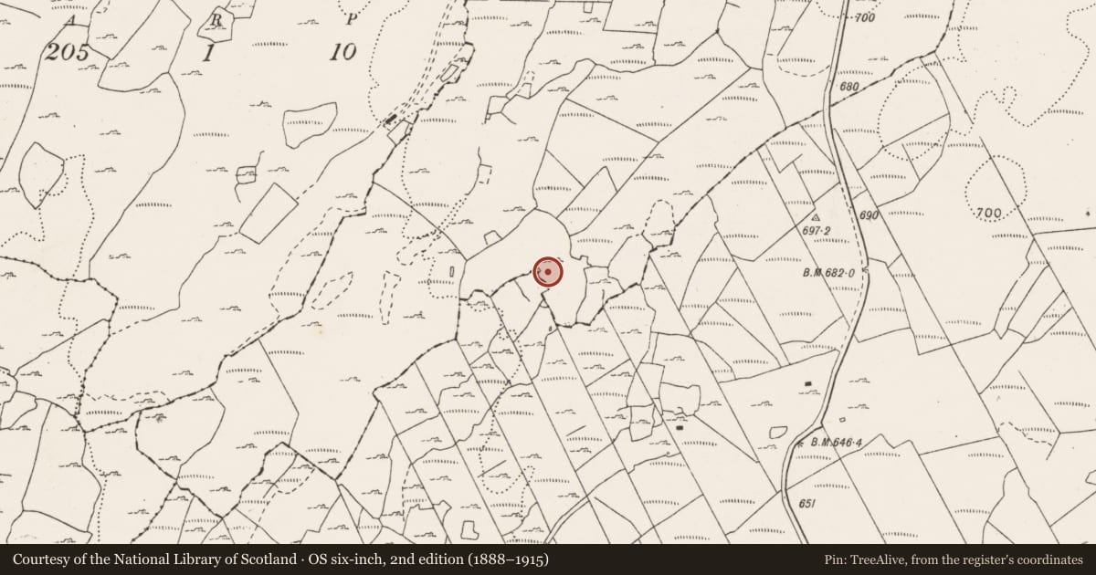 Ordnance Survey six-inch map, 2nd edition (1888–1915) covering the location of Ringfort - cashel, Ballyconnoe North, Cullaun, County Clare, with a pin at the register's coordinates