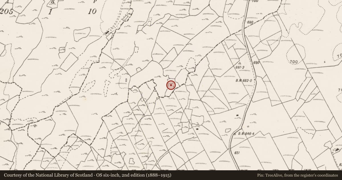 Ordnance Survey six-inch map, 2nd edition (1888–1915) covering the location of Field system, Cullaun, County Clare, with a pin at the register's coordinates