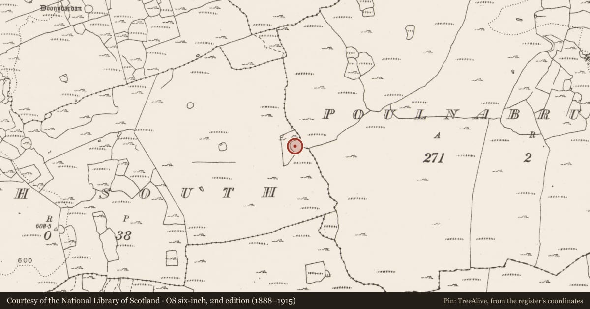 Ordnance Survey six-inch map, 2nd edition (1888–1915) covering the location of Ringfort - cashel, Croagh South, Poulnabrucky, County Clare, with a pin at the register's coordinates