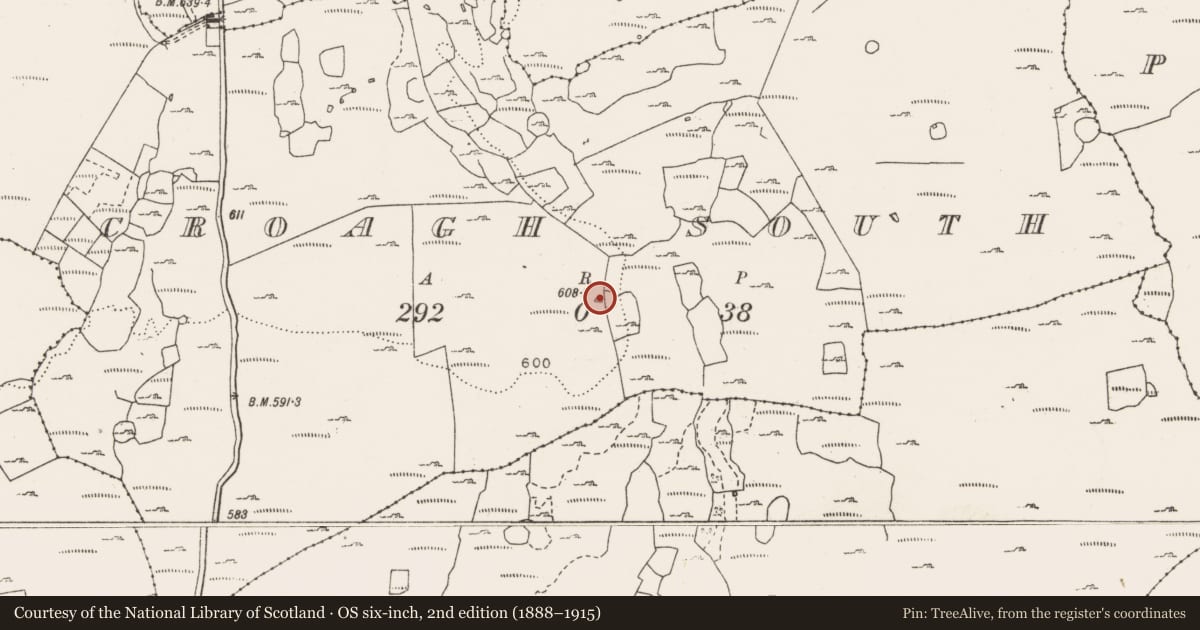 Ordnance Survey six-inch map, 2nd edition (1888–1915) covering the location of Ringfort - cashel, Croagh South, County Clare, with a pin at the register's coordinates