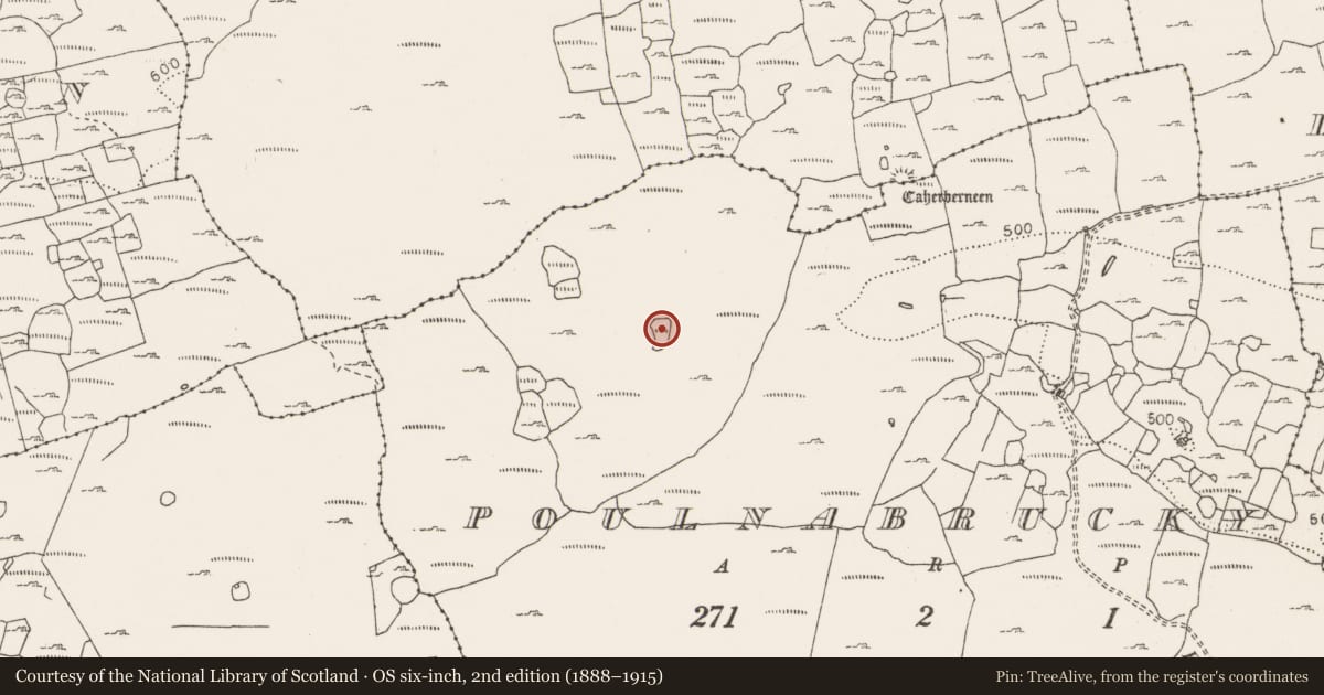 Ordnance Survey six-inch map, 2nd edition (1888–1915) covering the location of Megalithic tomb - unclassified, Poulnabrucky, County Clare, with a pin at the register's coordinates