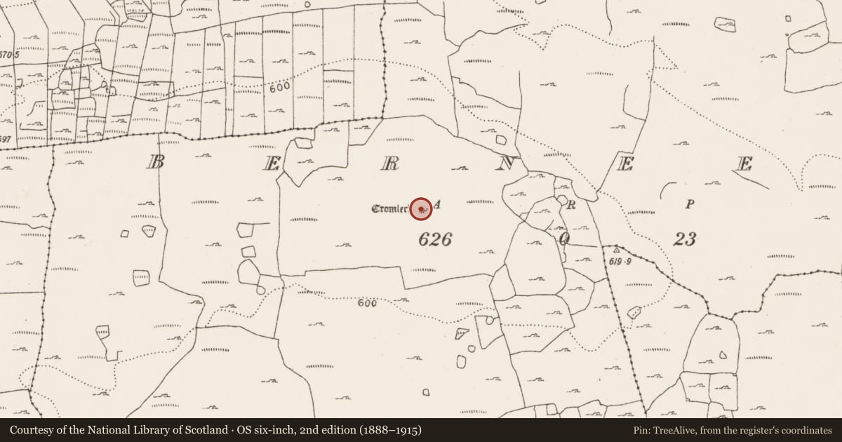 Ordnance Survey six-inch map, 2nd edition (1888–1915) covering the location of Megalithic tomb - wedge tomb, Berneens, County Clare, with a pin at the register's coordinates