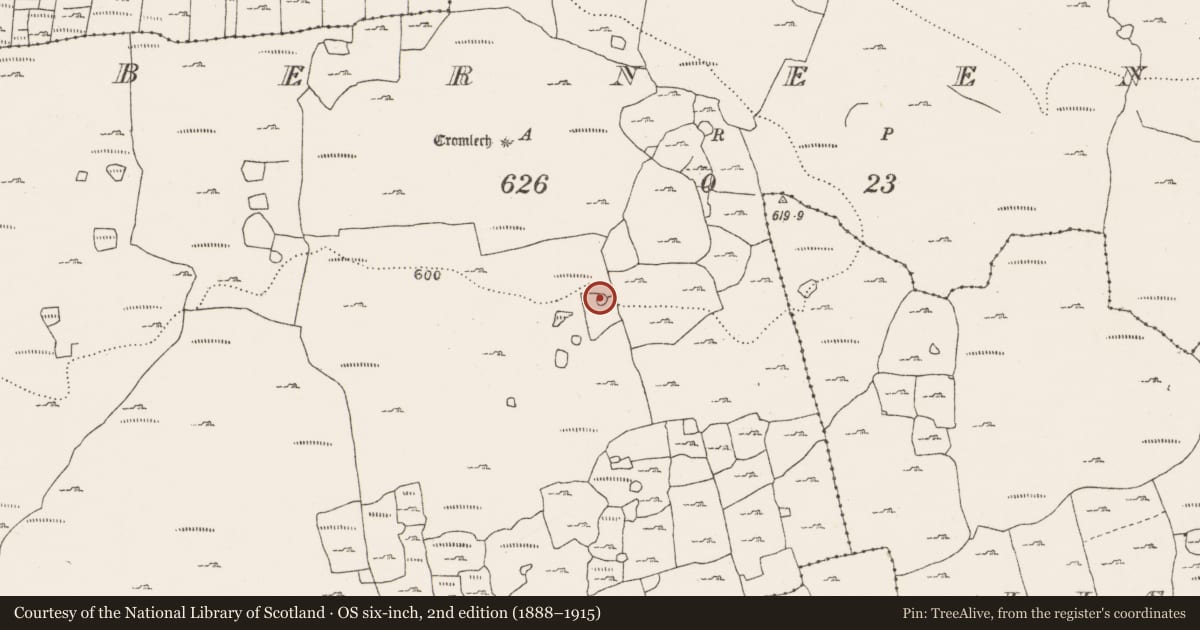Ordnance Survey six-inch map, 2nd edition (1888–1915) covering the location of Enclosure, Berneens, County Clare, with a pin at the register's coordinates