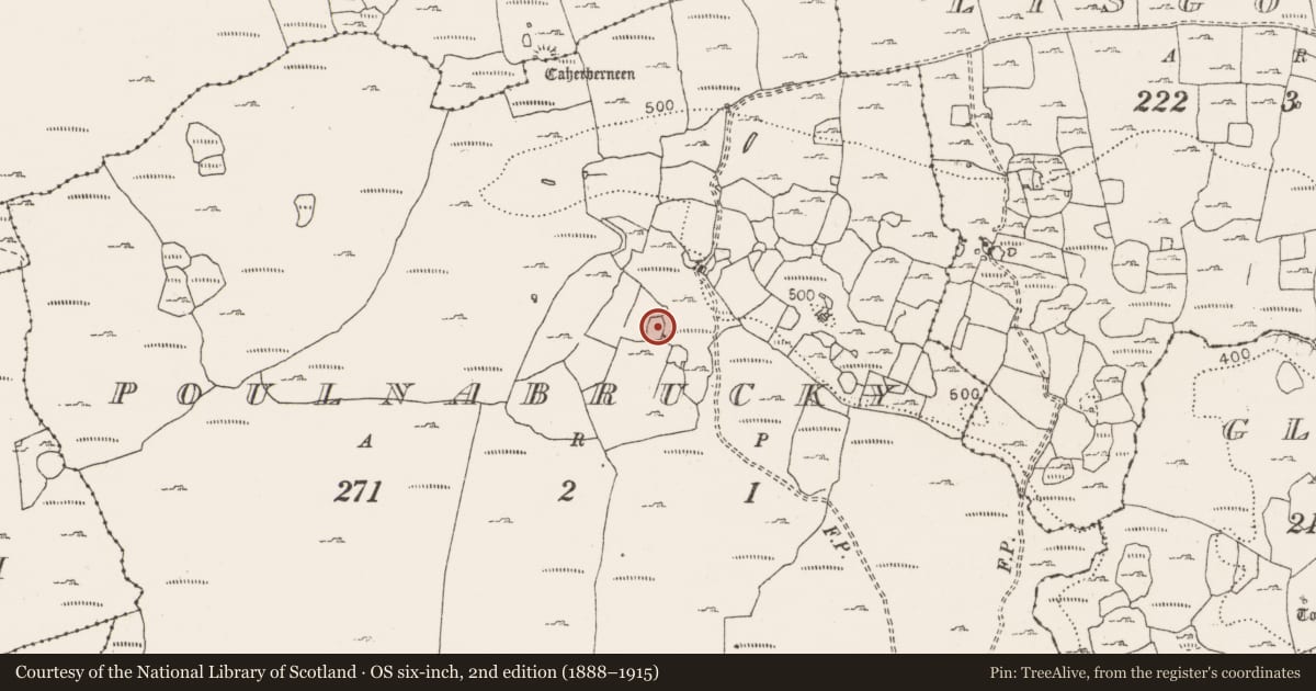 Ordnance Survey six-inch map, 2nd edition (1888–1915) covering the location of Enclosure, Poulnabrucky, County Clare, with a pin at the register's coordinates