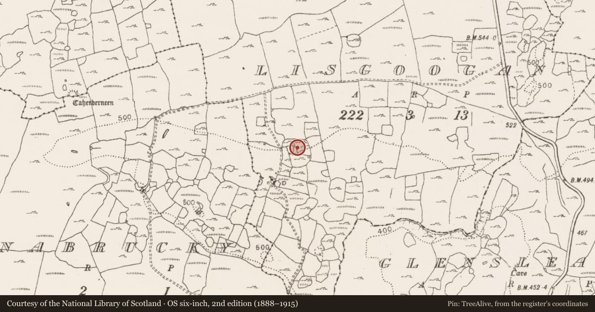 Ordnance Survey six-inch map, 2nd edition (1888–1915) covering the location of Ringfort - cashel, Lisgoogan, County Clare, with a pin at the register's coordinates