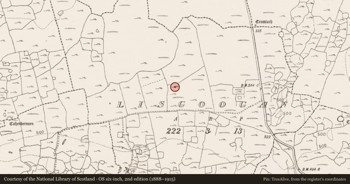 Ordnance Survey six-inch map, 2nd edition (1888–1915) covering the location of Enclosure, Lisgoogan, County Clare, with a pin at the register's coordinates