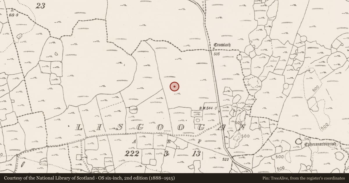 Ordnance Survey six-inch map, 2nd edition (1888–1915) covering the location of Megalithic tomb - wedge tomb, Lisgoogan, County Clare, with a pin at the register's coordinates