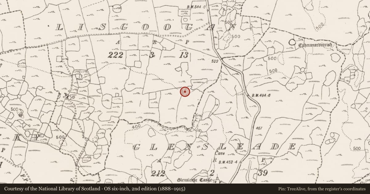 Ordnance Survey six-inch map, 2nd edition (1888–1915) covering the location of Cist, Lisgoogan, County Clare, with a pin at the register's coordinates