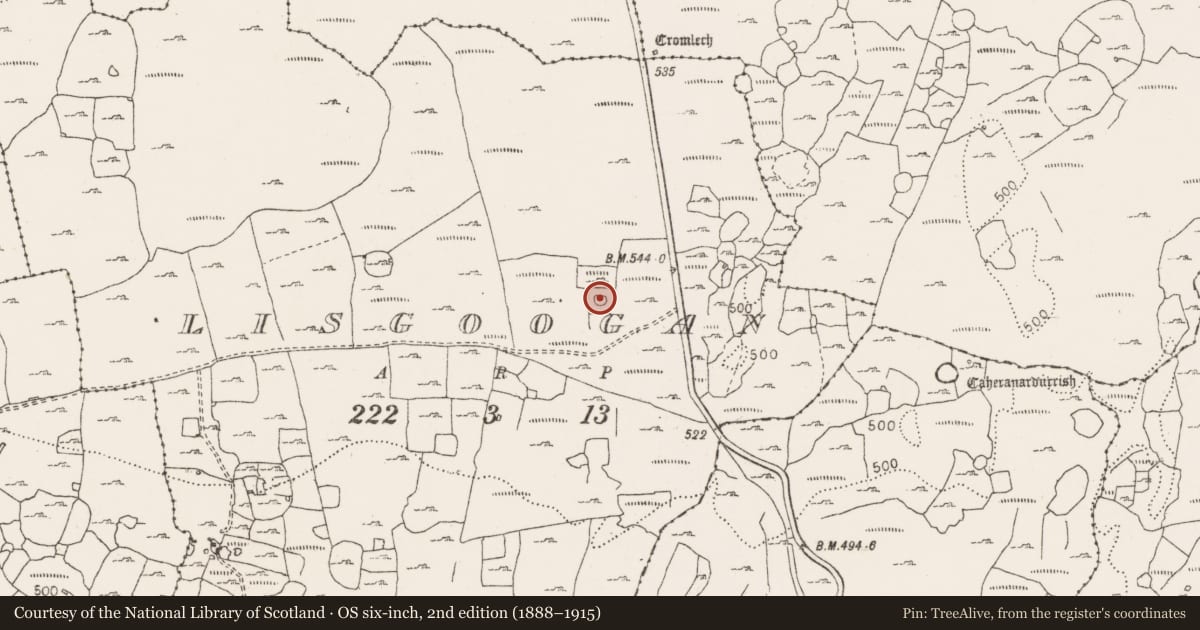 Ordnance Survey six-inch map, 2nd edition (1888–1915) covering the location of Enclosure, Lisgoogan, County Clare, with a pin at the register's coordinates