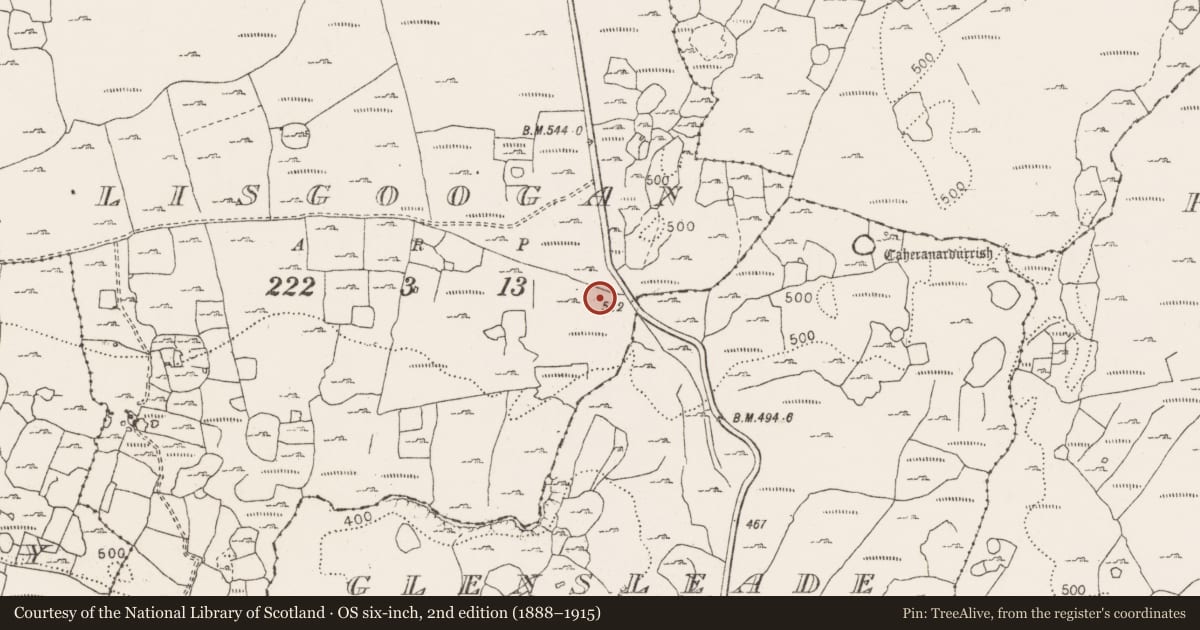 Ordnance Survey six-inch map, 2nd edition (1888–1915) covering the location of Cairn - unclassified, Lisgoogan, County Clare, with a pin at the register's coordinates