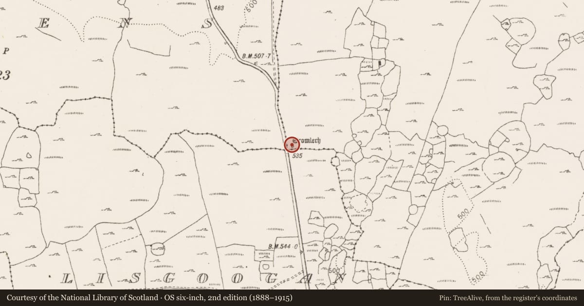 Ordnance Survey six-inch map, 2nd edition (1888–1915) covering the location of Megalithic tomb - wedge tomb, Gleninsheen, County Clare, with a pin at the register's coordinates