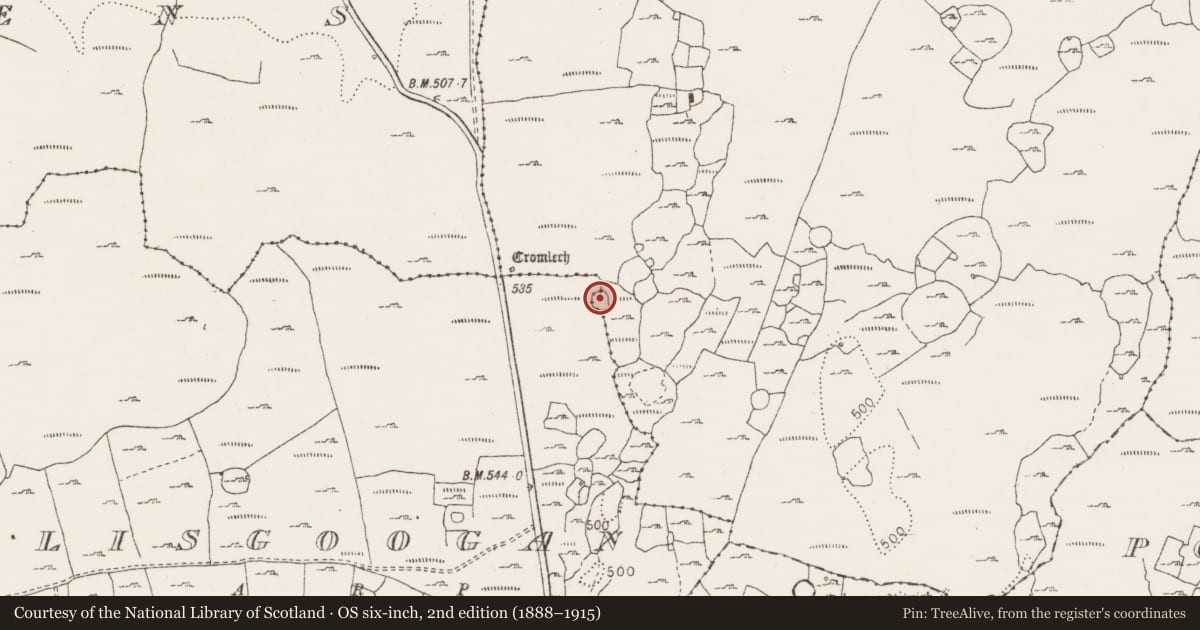 Ordnance Survey six-inch map, 2nd edition (1888–1915) covering the location of Ringfort - cashel, Lisgoogan, Gleninsheen, County Clare, with a pin at the register's coordinates