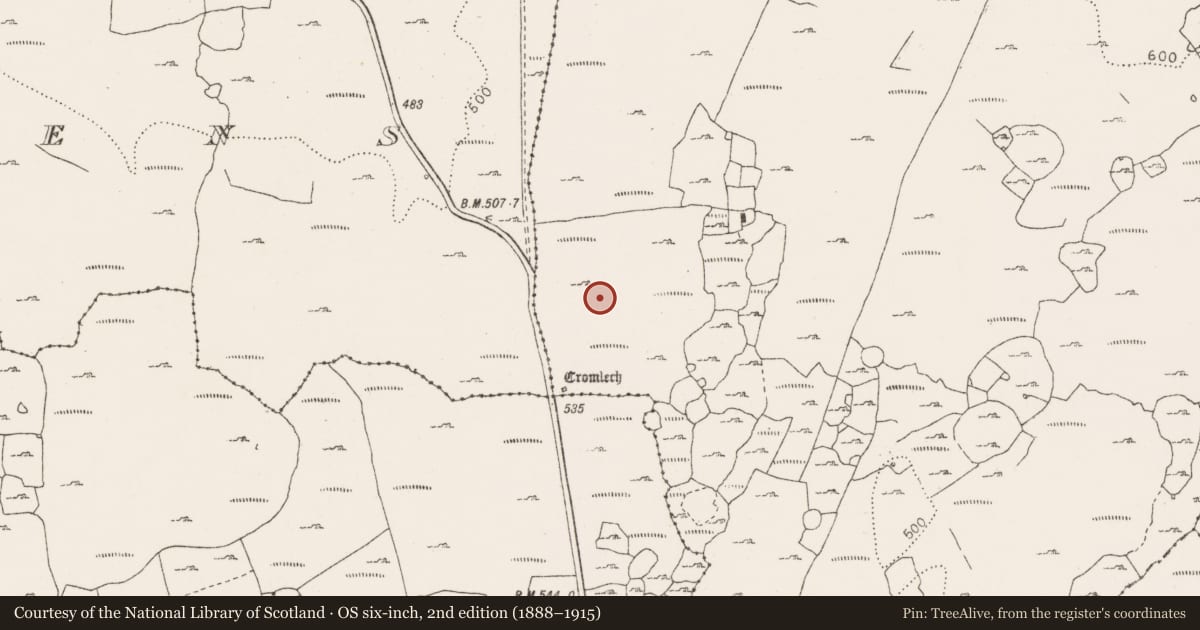 Ordnance Survey six-inch map, 2nd edition (1888–1915) covering the location of Megalithic tomb - wedge tomb, Gleninsheen, County Clare, with a pin at the register's coordinates